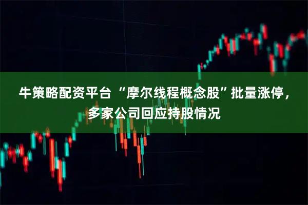 牛策略配资平台 “摩尔线程概念股”批量涨停，多家公司回应持股情况