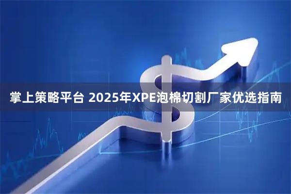 掌上策略平台 2025年XPE泡棉切割厂家优选指南